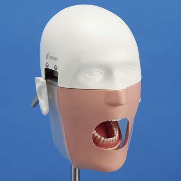 Simulador de paciente para procedimentos odontológicos - NISSIM Type 1 Advance - Nissin Dental Products Inc.   - de cabeça