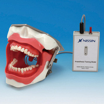 Simulador de paciente de anestesia dentária - SUG2005-UL-SP - Nissin Dental Products Inc.   - para injeções / para procedimentos odontológicos / de cabeça