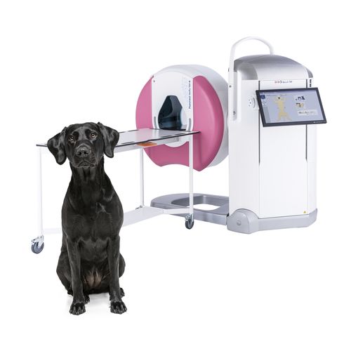 TC de feixe cônico veterinário para animais de estimação - Planmed Verity® VET - Planmeca