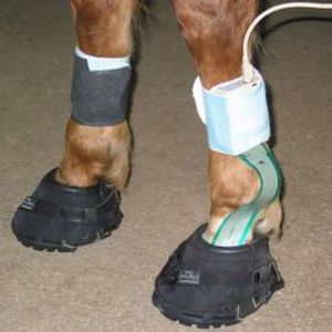 Sistema de análise da marcha - Hoof™ - Tekscan - veterinário