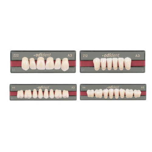 Prótese dentária em PMMA - Odident - Unidesa-odi Union Dental SA   - translúcida / anatômica