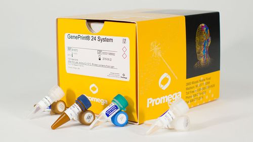 Kit de reagentes em solução - GenePrint® 24  - Promega France - corante / de tecidos / para ácidos nucleicos