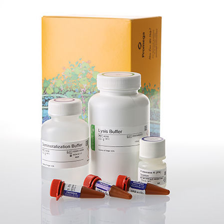 Kit de reagentes em solução - DC6051 - Promega France - solução tampão / para pesquisa / para eletroforese capilar