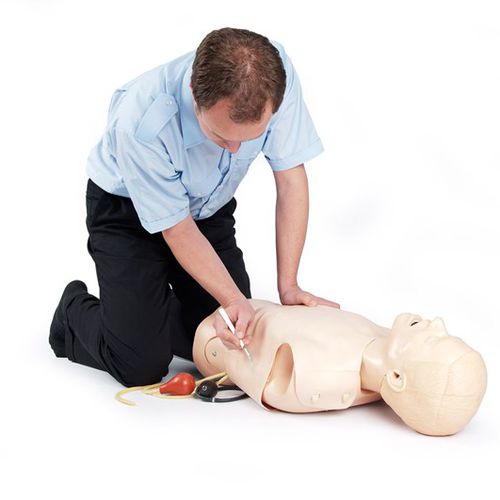 Manequim de treinamento para procedimentos de emergência médica - AT Kelly  - Laerdal Medical - para intubação / com insuflador manual / de auscultação