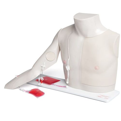 Simulador de paciente de acesso vascular venoso - Chester  - Laerdal Medical - de infusão / para enfermagem / de torso