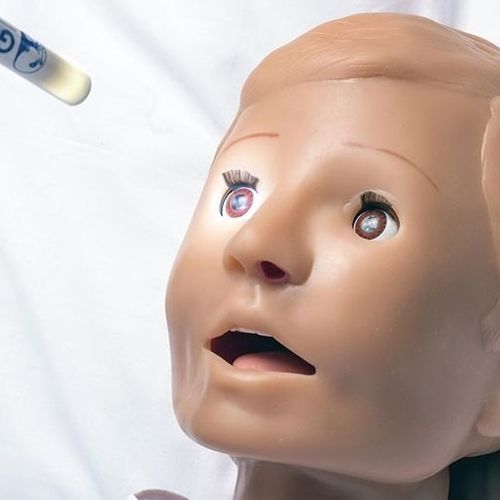 Simulador de paciente de criança - Pediatric HAL® S3005  - Gaumard - de auscultação / para injeções / de controle de vias aéreas
