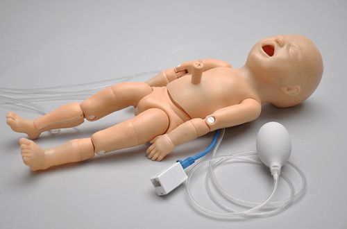 Simulador para injeções - Premie™ Blue S108 - Gaumard - de controle de vias aéreas / para RCP / para treinamento