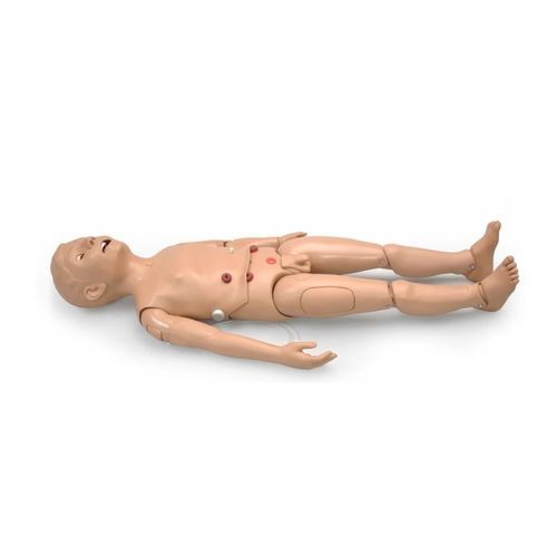 Simulador de paciente de cateterismo - S157 - Gaumard - para injeções / para injeções intramusculares / de intubação