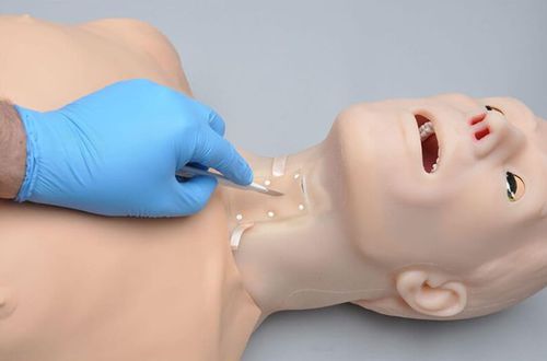 Simulador de intubação - HAL® S315.400  - Gaumard - de cricotireoidostomia / para RCP / para traqueostomia