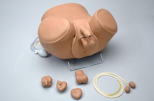 Simulador de cateterismo - ZACK™ S230.11 - Gaumard - de vasectomia / para treinamento / para cuidados gerais de saúde