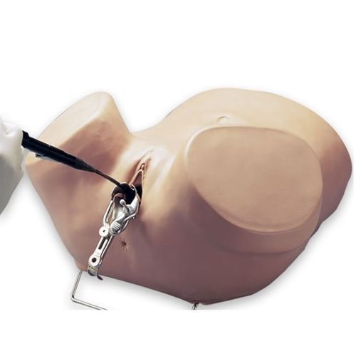 Simulador para histeroscopia - S607 - Gaumard - para procedimentos de ginecologia / feminino / de torso