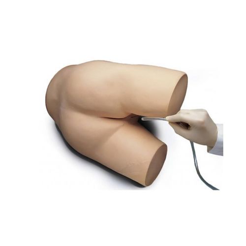 Simulador para treinamento - S230.5 - Gaumard - para cuidados gerais de saúde / de adulto / masculino