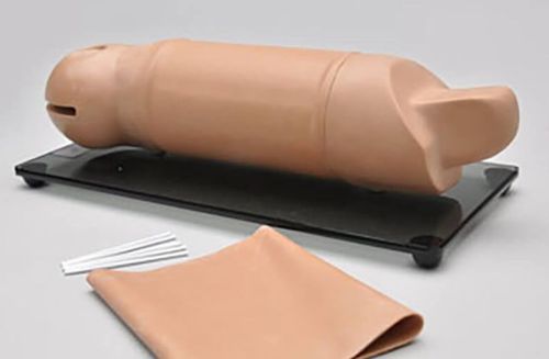 Simulador para treinamento - RITA® S519 - Gaumard - para cuidados gerais de saúde / de braço / em espuma