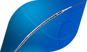 Stent coronário - Cygnus II - Degania Silicone - em cromo-cobalto / hidrofílico / de revestimento