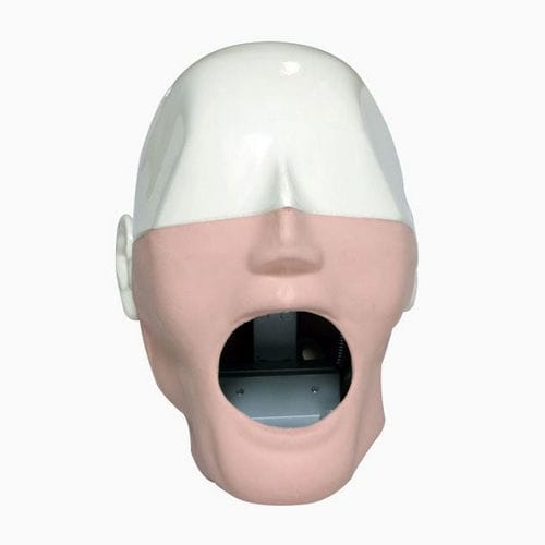 Manequim de treinamento para procedimentos odontológicos - MQDMS - Columbia Dentoform® - de cabeça