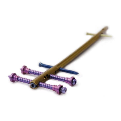 Haste intramedular para fêmur - CHARFIX2 - ChM - fixação distal / em titânio