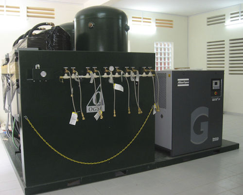 Gerador de oxigênio médico-hospitalar - OGM - Oxygen Generating Systems International - móvel / de PSA