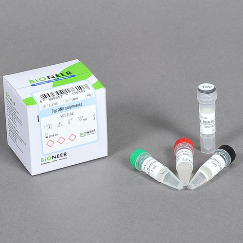Kit de reagentes DNA polimerase - E-31 series - Bioneer Corporation - tampão de diluição / para pesquisa / para ácidos nucleicos