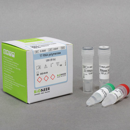 Kit de reagentes com enzimas - Bioneer Corporation - protease / inibidor de RNase / para síntese de RNA