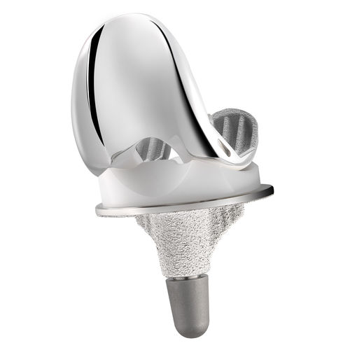 Prótese total de joelho - MC2® UC - C2F Implants - com plataforma móvel / cimentada ou não cimentada