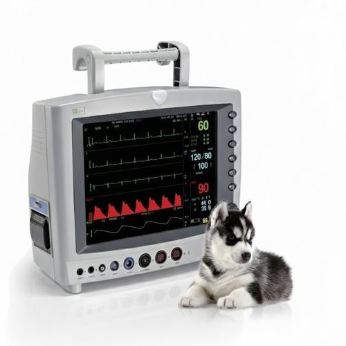 Monitor multiparamétrico portátil - G3D-Vet - General Meditech - de mesa / de ECG / RESP