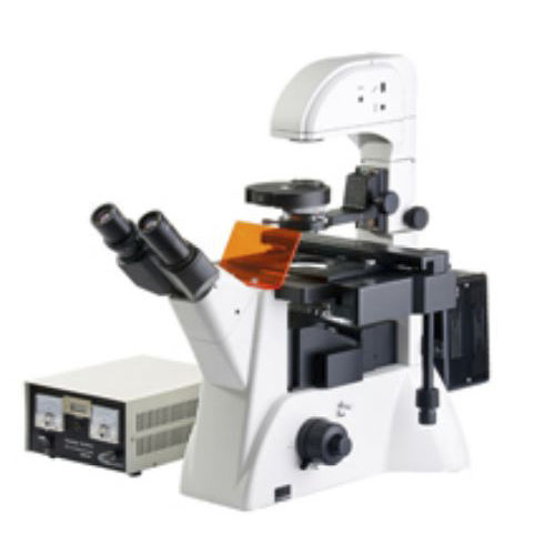 Microscópio invertido - Versus - Medline Scientific - óptico / para monitoramento de culturas celulares / trinocular