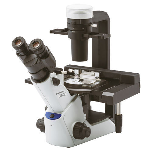 Microscópio trinocular - Olympus CKX53  - Medline Scientific - óptico / de laboratório / invertido