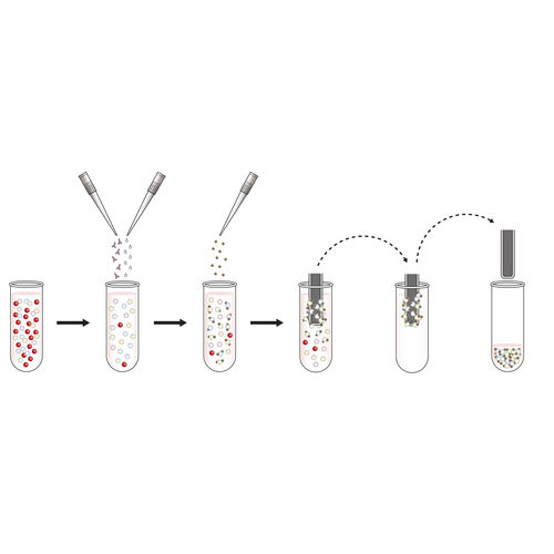 Kit de reagentes de esferas magnéticas - T-Cell Select™ - Oxford Immunotec Ltd. - para preparação de amostras / de amostras de sangue / de Mycobacterium tuberculosis