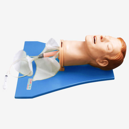 Manequim de treinamento de controle de vias aéreas - GD/J55 - Shanghai Honglian Medical Instrument - de cabeça
