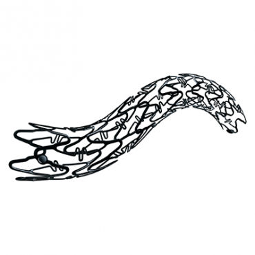Stent periférico - BMS B.E.-Inperia Advance - Alvimedica - em cromo-cobalto