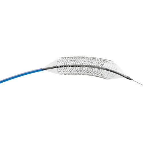 Stent periférico - THALISFlex 6F - amg International - em cromo-cobalto