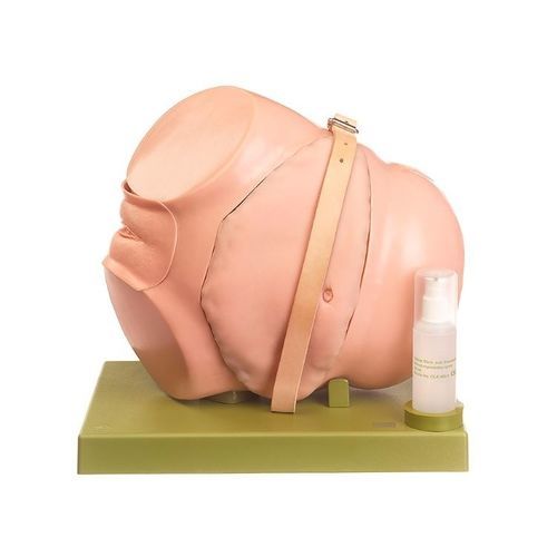 Manequim de treinamento para cuidados gerais de saúde - CLA 5/4 - Coburger Lehrmittelanstalt - para colonoscopia / de adulto / feminino