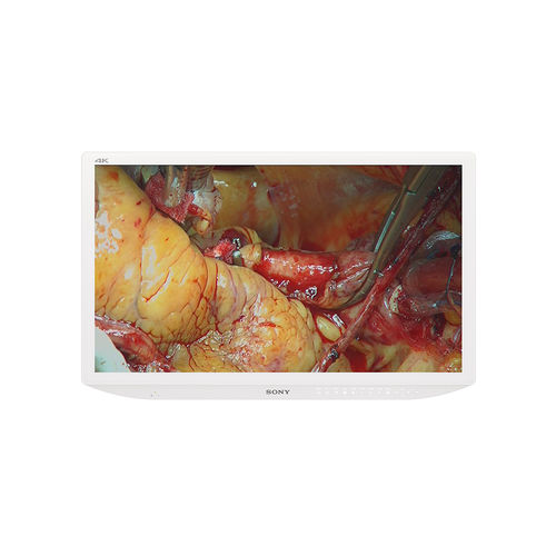 Monitor com resolução 4K - LMD-X3200MD - Sony - médico-hospitalar / cirúrgico / 31,5"