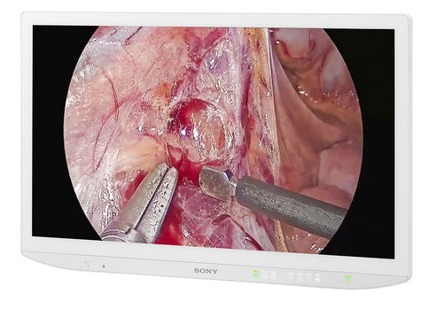 Monitor médico - LMD-43M1MD - Sony - cirúrgico / com resolução 4K / 43"