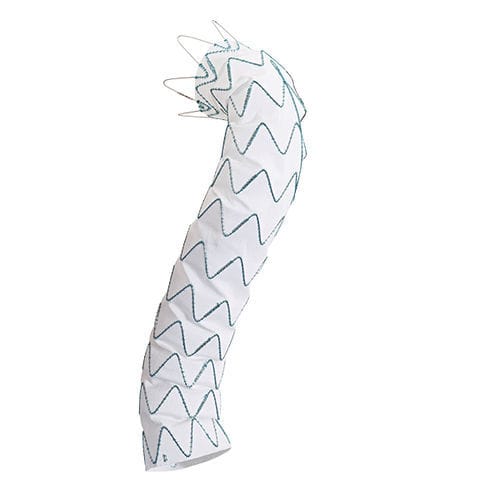 Stent-enxerto para aorta torácica ascendente - Relay®Plus - Terumo Aortic - de aorta torácica / em nitinol / hidrofílico