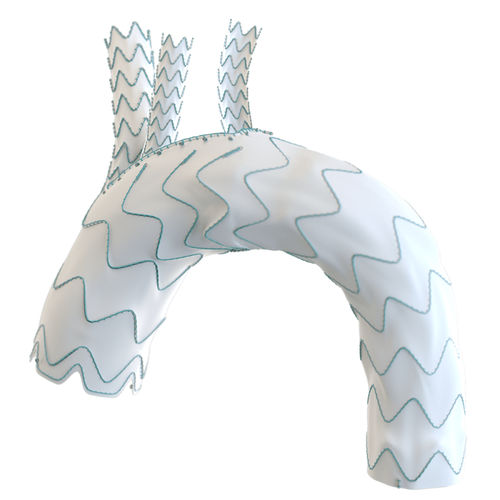 Stent-enxerto para arco aórtico - Relay®Branch - Terumo Aortic - em nitinol / em ePTFE