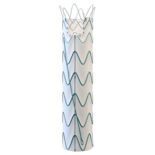 Stent-enxerto para aorta torácica ascendente - Relay® Proximal Scallop - Terumo Aortic - em nitinol / em ePTFE / hidrofílico