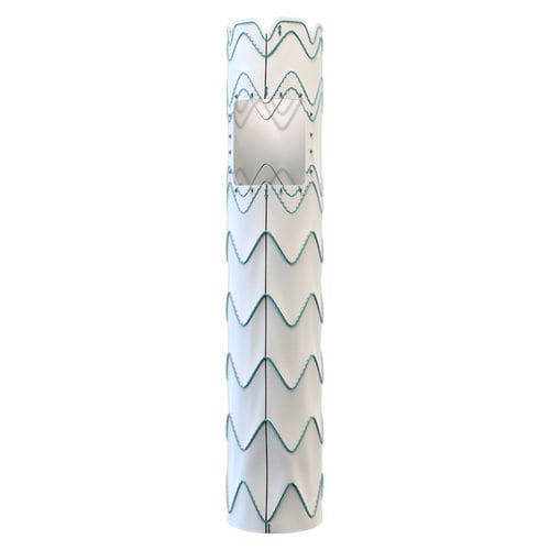 Stent-enxerto para arco aórtico - Relay® Multi Feature - Terumo Aortic - em nitinol / em ePTFE