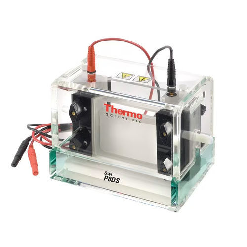 Cuba de eletroforese vertical - Owl™ Dual - Thermo Scientific