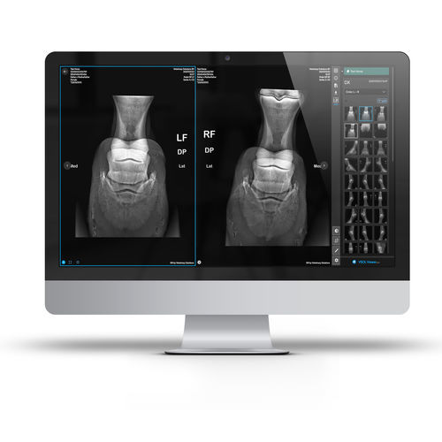 RIS/PACS veterinário - Connect.Vet - IMV imaging - veterinário