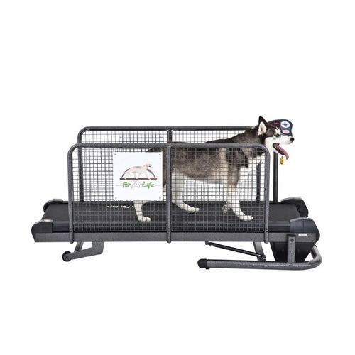 Esteira ergométrica veterinária para cães - Medium - Fit Fur Life Ltd