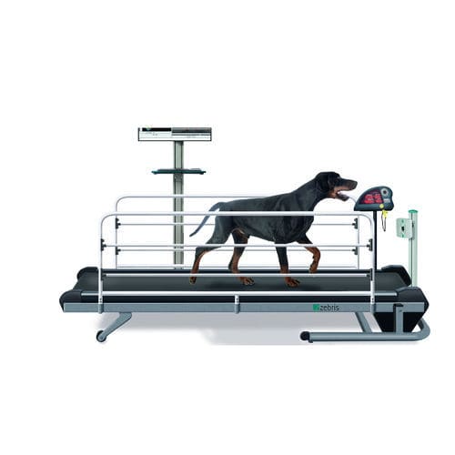Esteira ergométrica veterinária para cães - CanidGait Fit Fur Life  - Fit Fur Life Ltd - de velocidade regulável / com grades laterais reguláveis