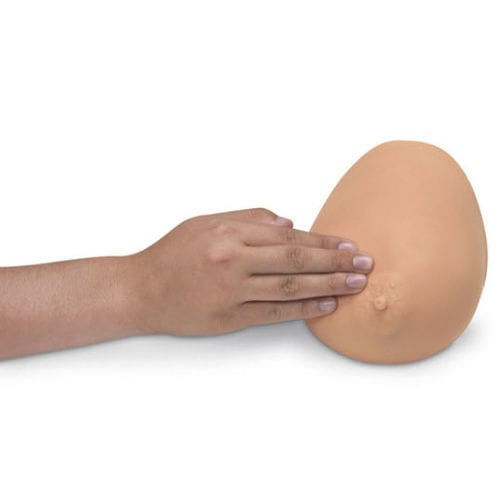 Simulador de palpação mamária - BSE - Nasco - para procedimentos de ginecologia / de tumor / de mama