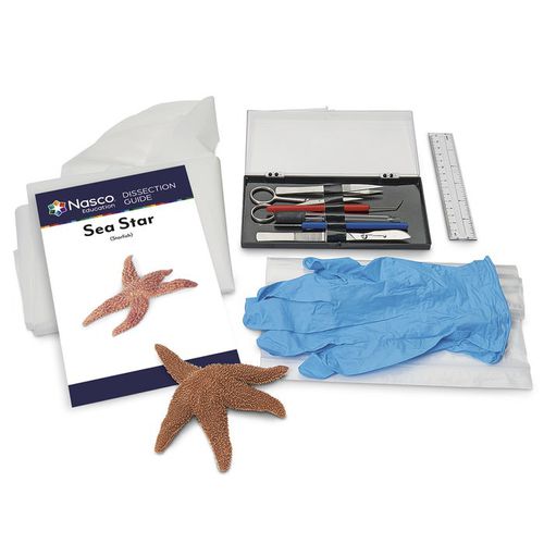 Simulador de dissecção - LS03851 - Nasco - de anatomia / em kit / sem látex