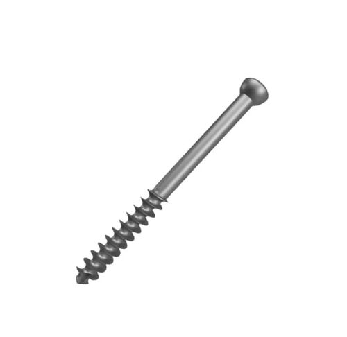 Parafuso de compressão óssea para grandes fragmentos ósseos - A100 03 226 0500 - Aysam Orthopaedics - metálico / não bloqueado / de tecido esponjoso