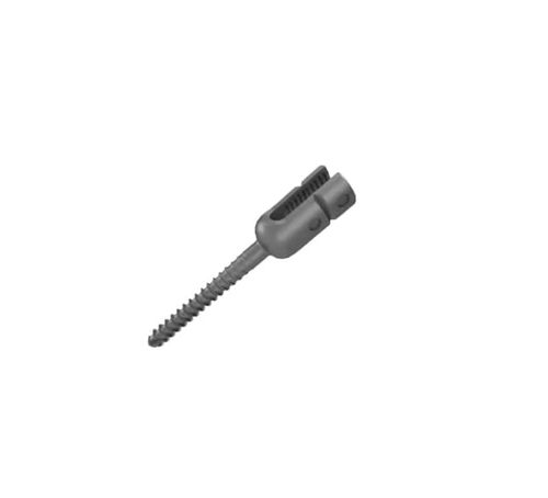 Parafuso pedicular monoaxial - A816 series - Aysam Orthopaedics - em titânio
