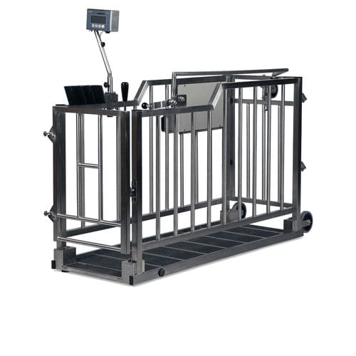 Balança veterinária eletrônica - 1-2-3 - Bosche GmbH & Co.KG - para animais de grande porte / para bezerros / plataforma