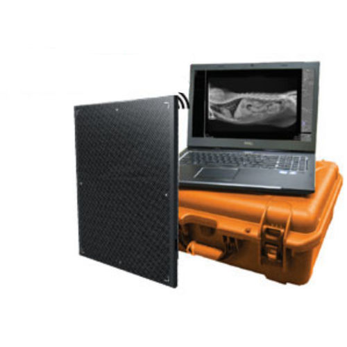 Detector de painel plano para radiografia veterinária - DR Wizard EZ - Diagnostic Imaging Systems - portátil / com conexão sem fio / 14 x 17