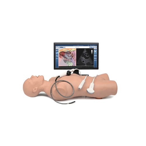 Simulador de paciente para ecocardiografia - Vimedix - Elevate Healthcare - para procedimentos cardiopulmonares / de anatomia / de COVID-19