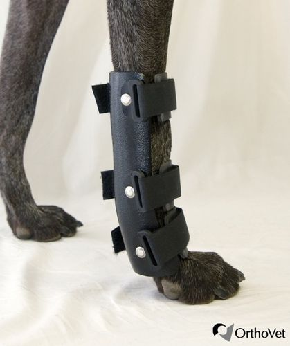 Tala veterinária para túnel do carpo - OrthoVet - para cães